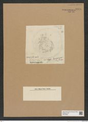 Diatomeae indet. Zeichnungen Sammlung Grunow Nr. 8976 (NHMW-BOT-W0378669)